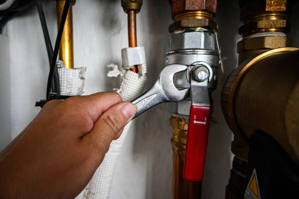 Best Toilet Repair Services  in Phillips, WI